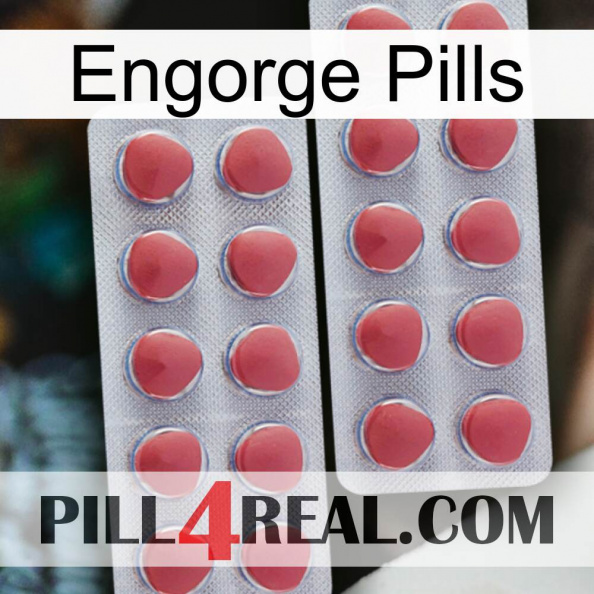 Engorge Pills 19